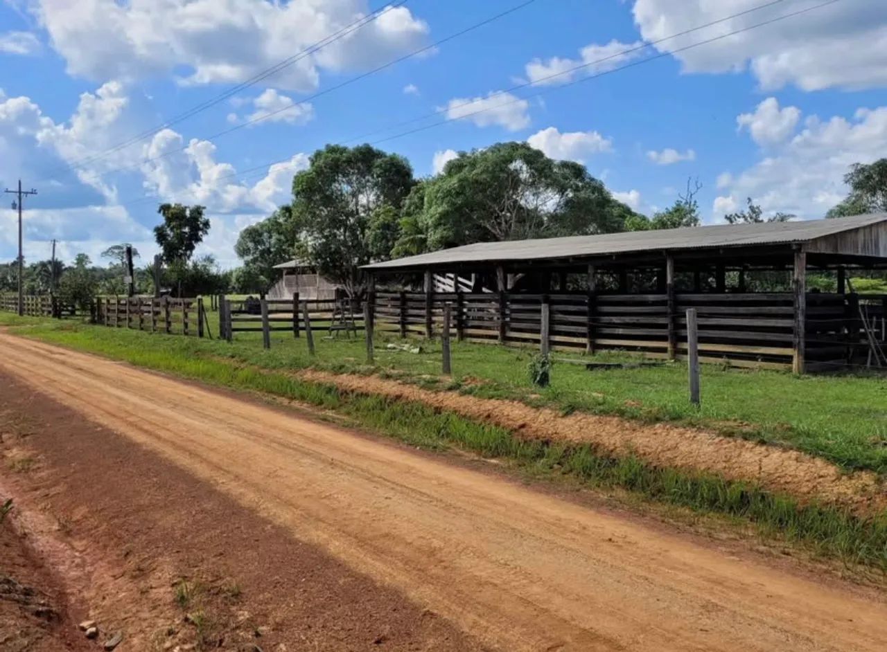 Sitio a venda prox. a porto velho  - Foto 3