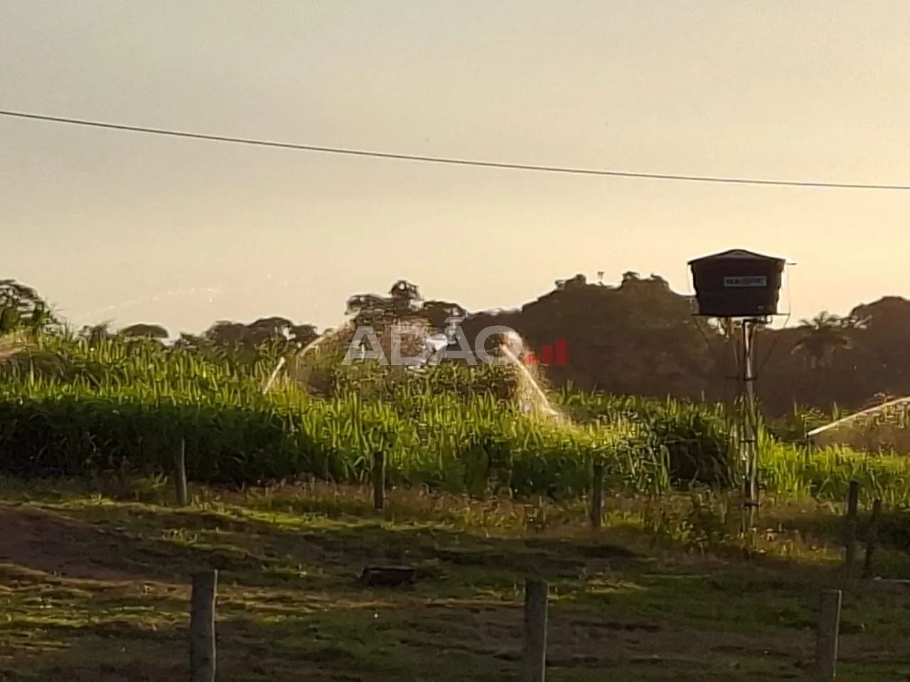 Fazenda em Guapó-GO - Foto 3