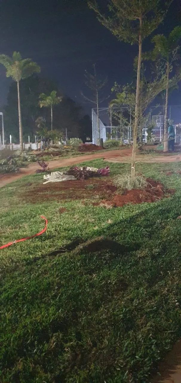 Jardinagem completa - Foto 2
