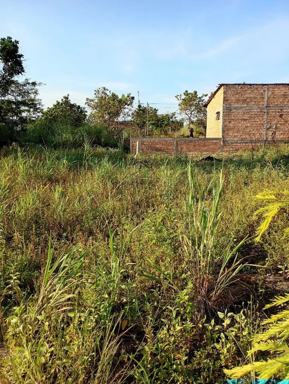 Vendo terreno no João de barro 12x25  