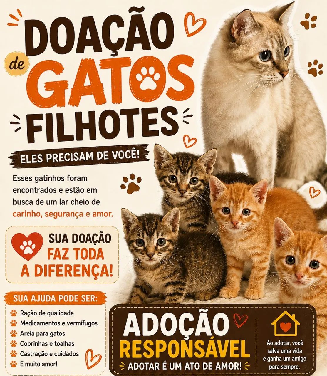 Gatinho  - Foto 2