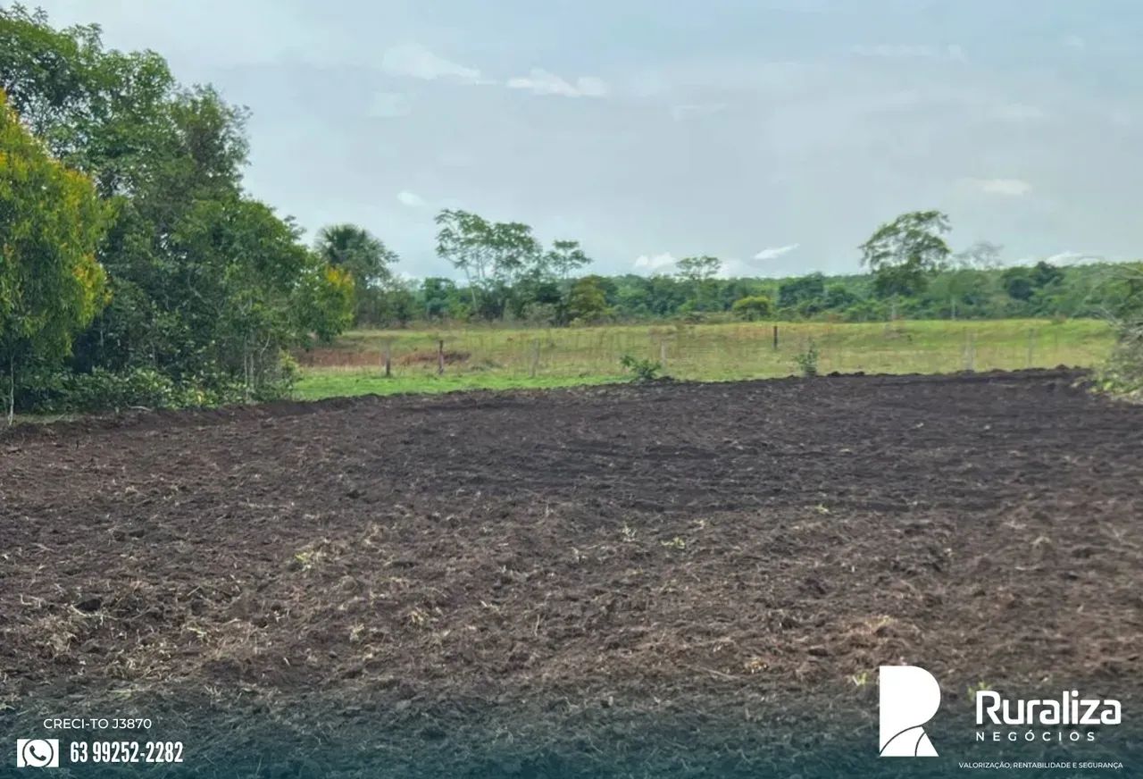 INVESTIMENTO RURAL | ALTA PRODUTIVIDADE E ESTRUTURA COMPLETA - Foto 4