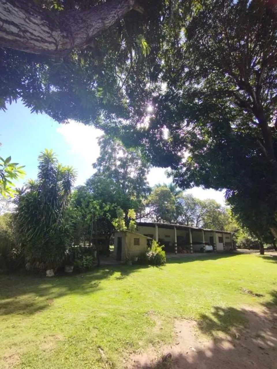 sítio - venda - Foto 5