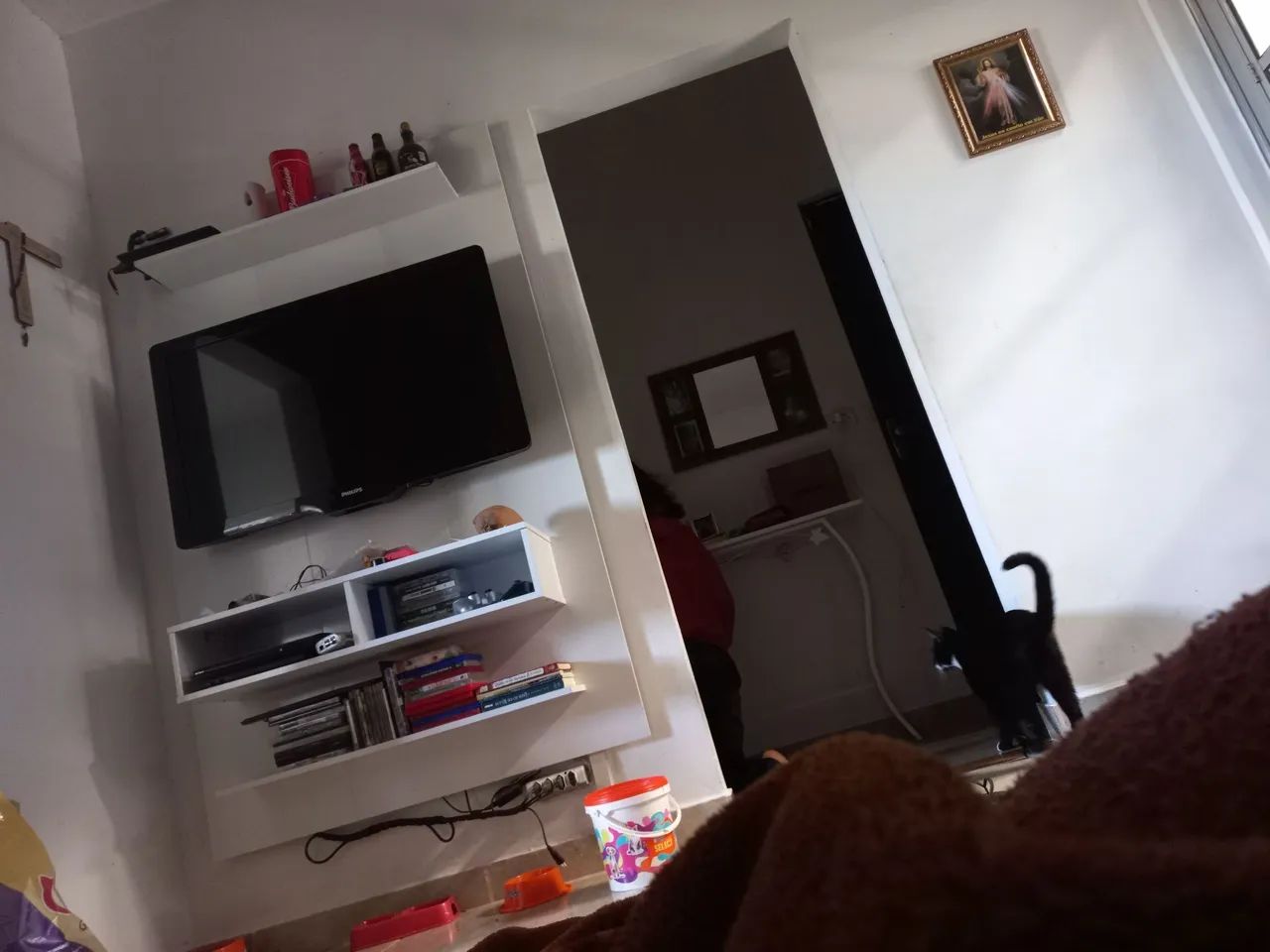 TV 