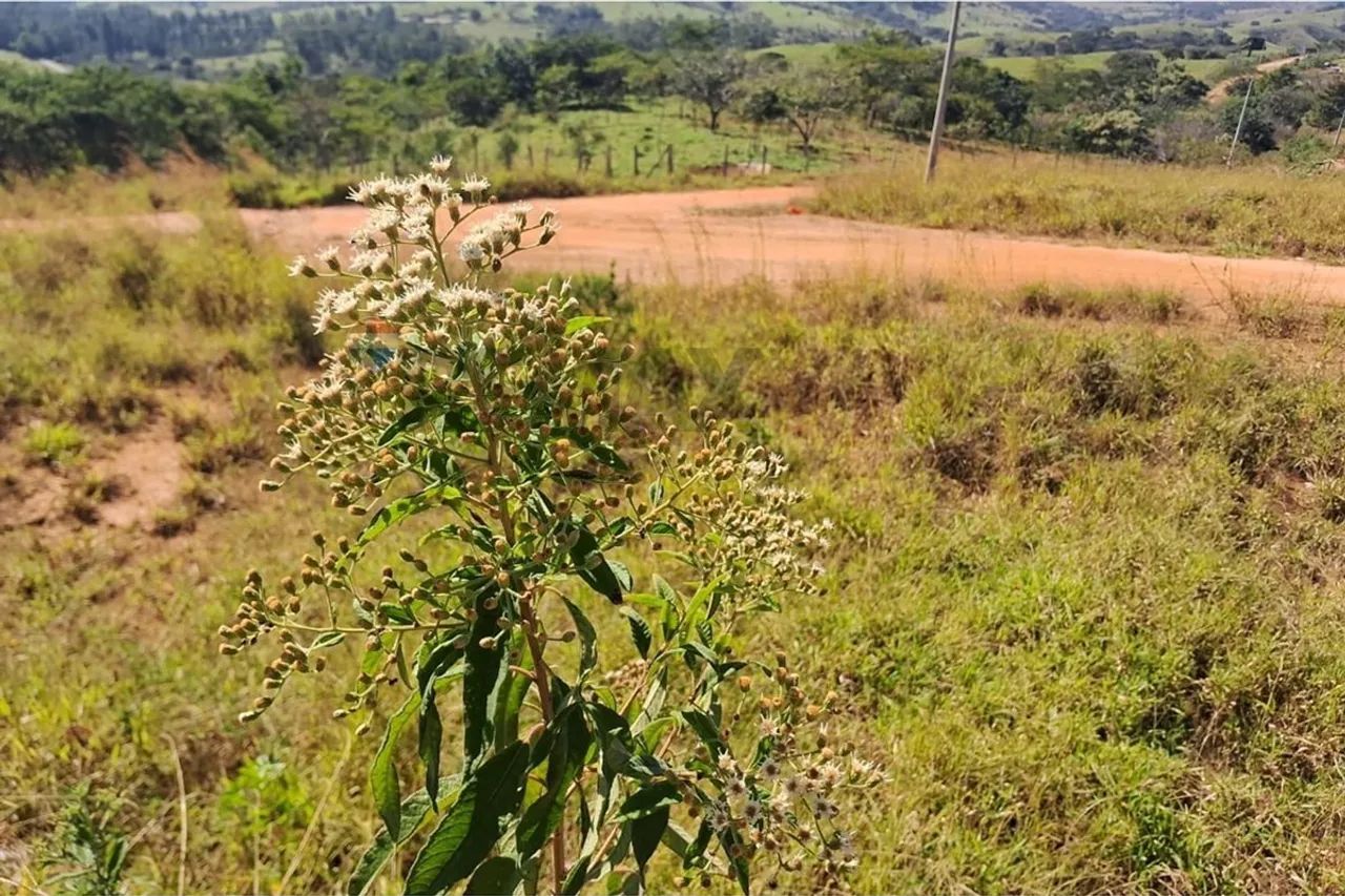 Terreno bairro Itapirinha 1000mts