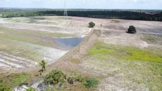 Fazenda com 270 hectares próximo a Macaíba - Foto 4