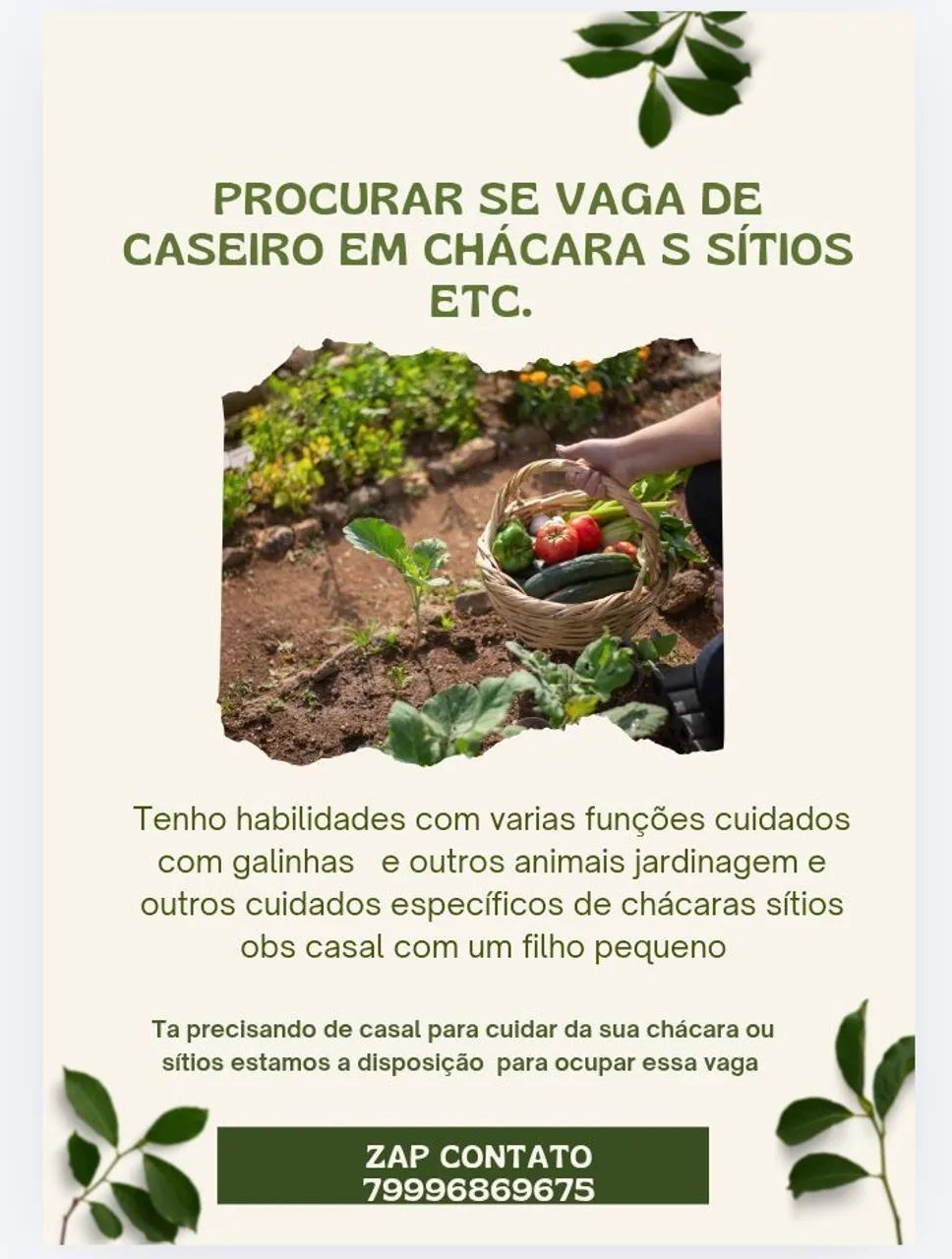 Procurar emprego de caseiro 