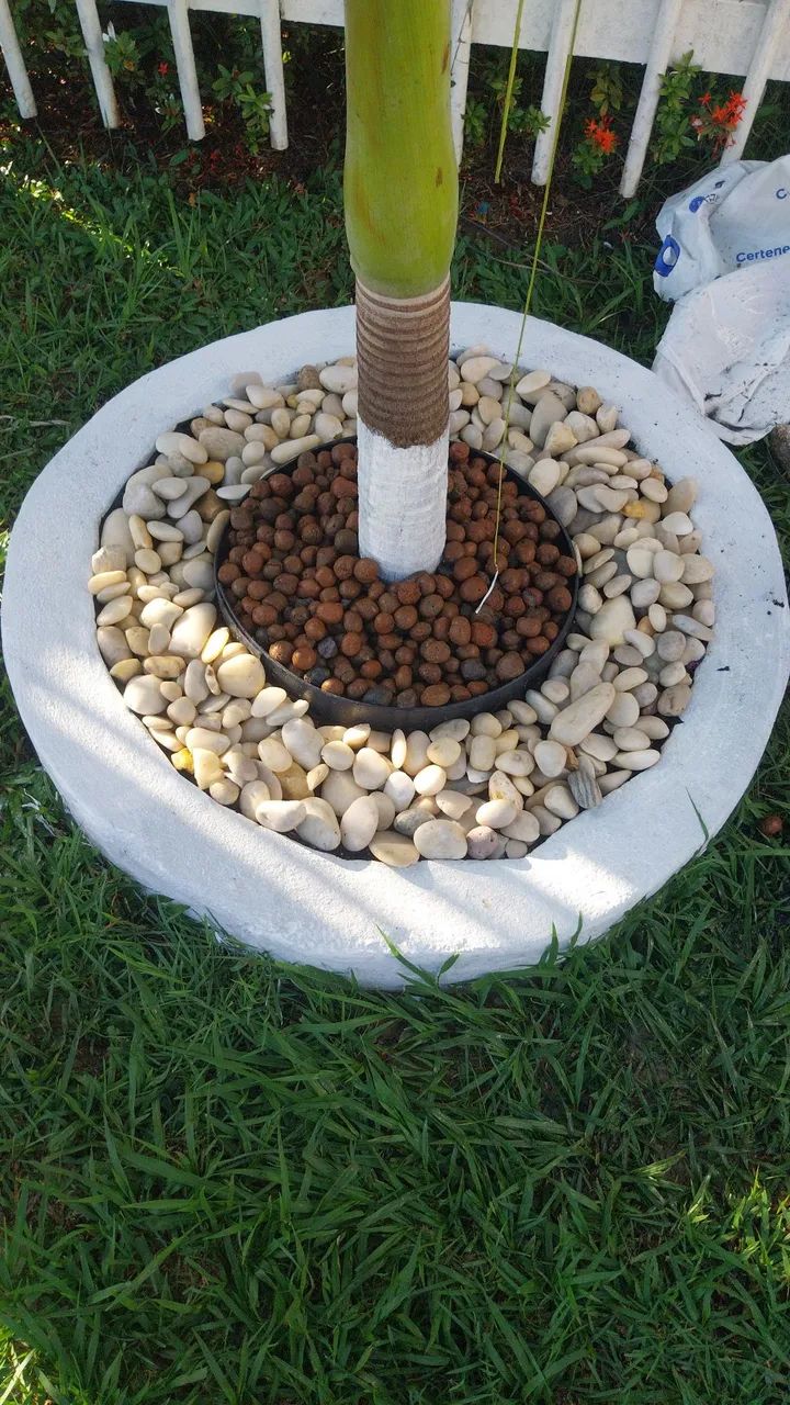 Serviços  - Foto 2