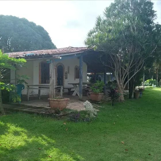 Excelente Granja com 7 hectares em monte alegre - Foto 5