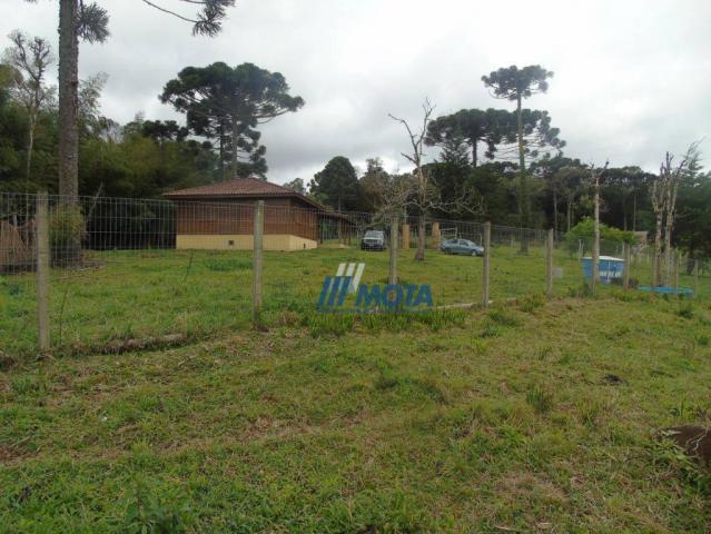 Chácara condomínio fechado são josé dos pinhais - Foto 13