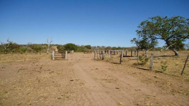 Fazenda no Alto Garças - Foto 3