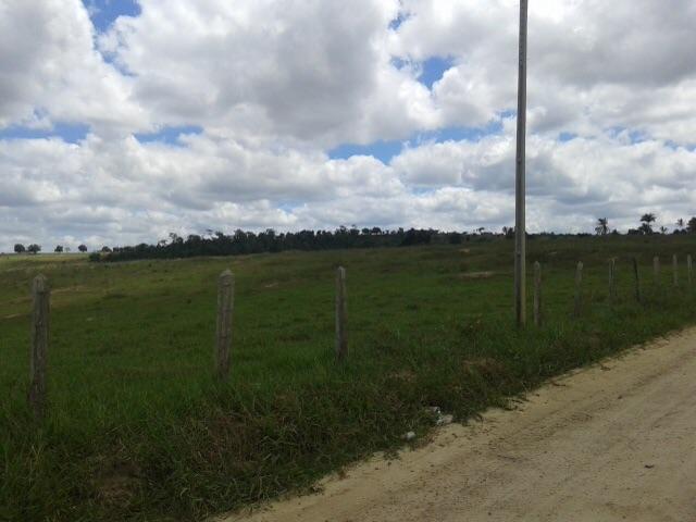 Linda Fazendinha com 67 tarefas Elisio Medrado - Foto 2