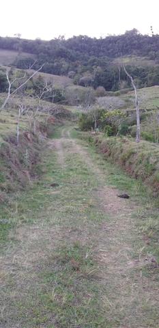 Sitio de 9.7 alk pra pasto vendo - Foto 4
