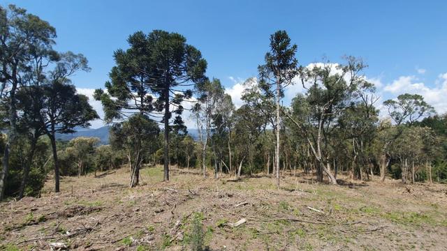 Sitio em Urubici / chácara em Urubici /próximo a Rio Rufino
