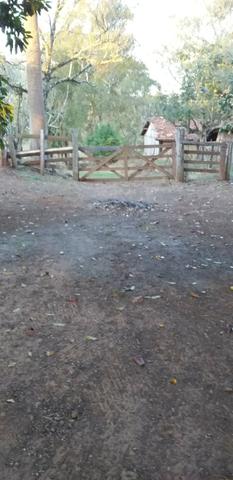 Sitio de 9.7 alk pra pasto vendo - Foto 2