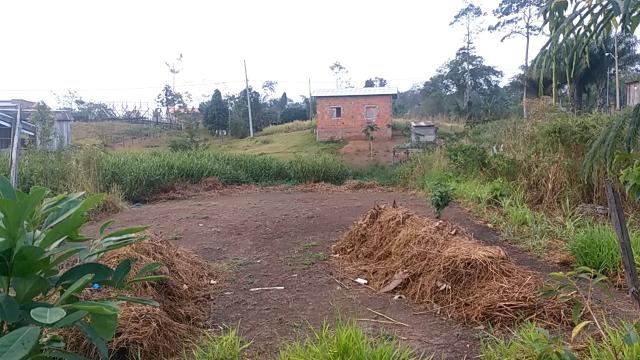 Terreno - Foto 2