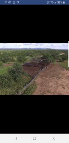 Fazenda - Foto 13