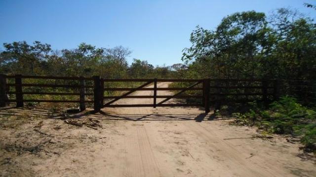 Fazenda no Alto Garças - Foto 4