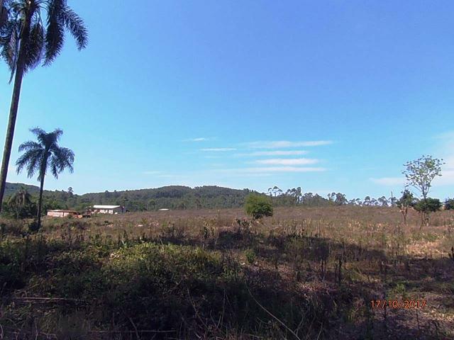 Chácara c/5,1 ha, Bom Jardim - Montenegro - 36 - Foto 8