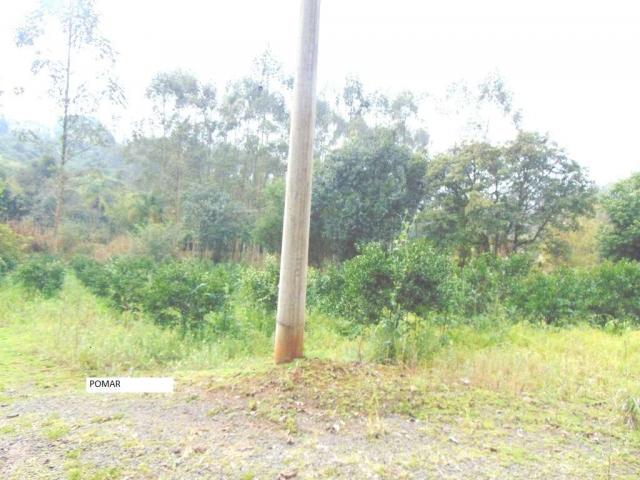 Chácara em Santos Reis em Montenegro - 10 - Foto 17