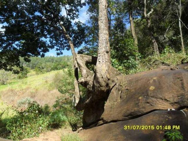 1683/Terreno de 3,19 ha com linda cachoeira e ótima localização - Foto 11