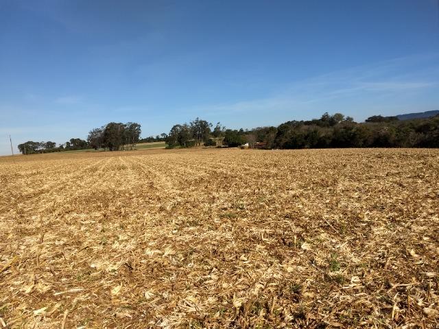 Chácara 28400 m2 próxima da cidade de Entre Rios do Oeste PR Troco por casa ou sobrado - Foto 7