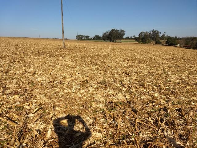 Chácara 28400 m2 próxima da cidade de Entre Rios do Oeste PR Troco por casa ou sobrado - Foto 9