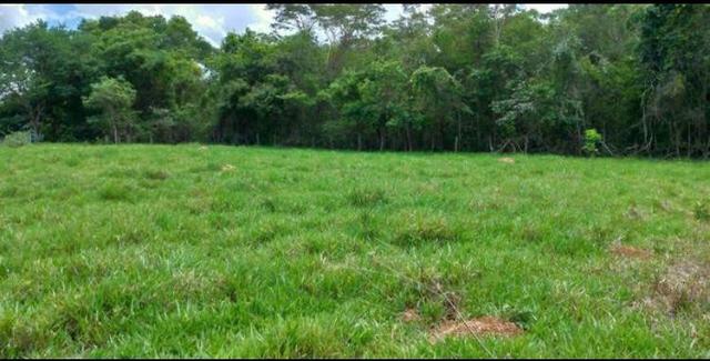 Chácara de 20mil Mt à venda a 80 km de Goiânia - Foto 10