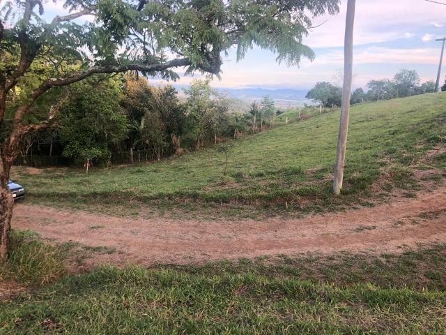 03* para sair hoje,este lindo lote! - Foto 3