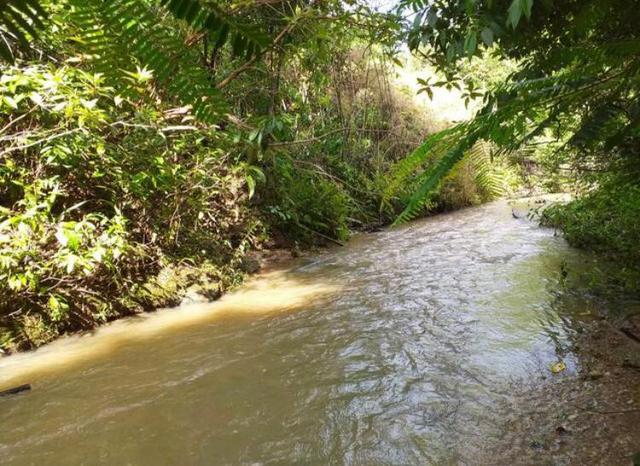 Chácara de 20mil Mt à venda a 80 km de Goiânia
