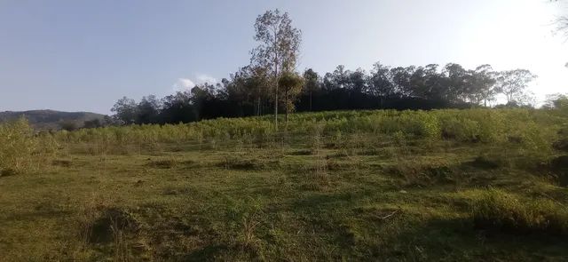 Chácara 28 hectares em potreiro, com uma visita panorâmica maravilha  - Foto 5