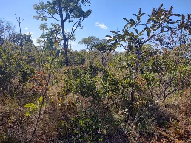 Fazenda Goiás área pra Reserva