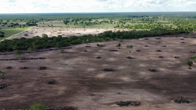 Fazenda de 646 alqueires em Araguaína-MT - Foto 3