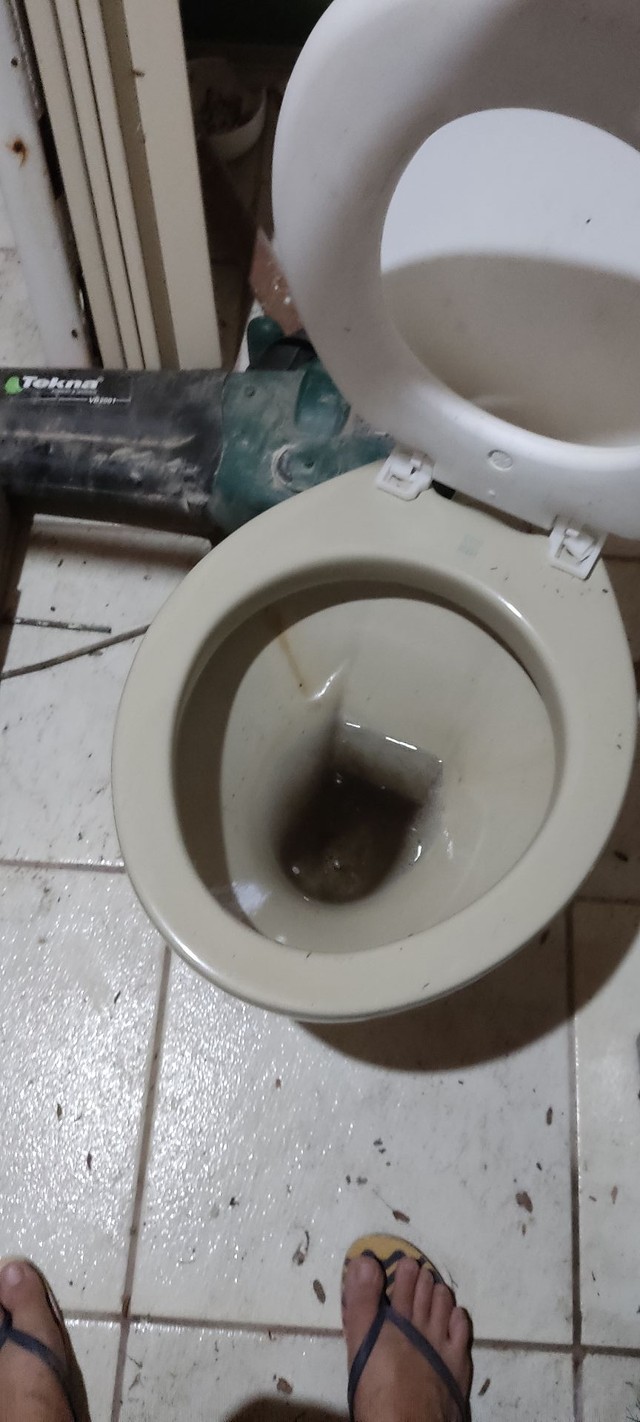 Vaso sanitário cor bege