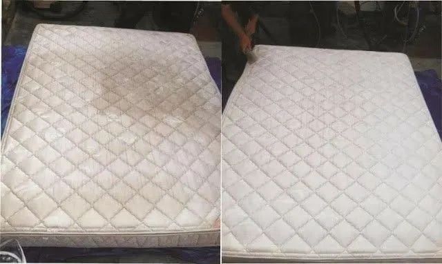 Higienização Profissional Cama, Sofá, Poltrona, Colchão, Cadeira e Bancos Automotivos.<br><br> - Foto 4