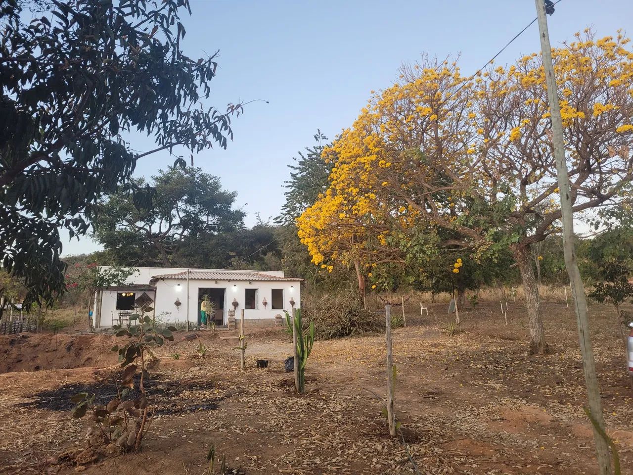 foto - Goiânia - Residencial Flórida