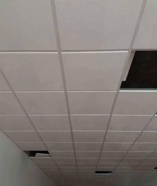 Forro de Gesso , Drywall, Divisórias e Pinturas em geral . - Foto 2