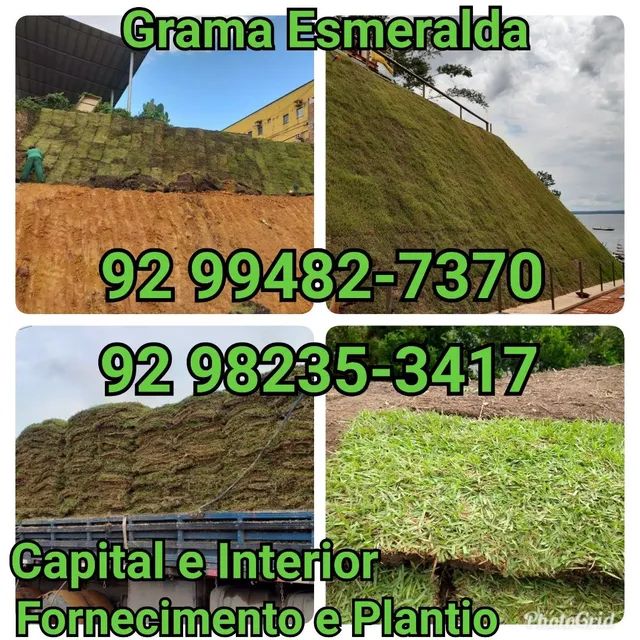 Entrega e Plantio de Grama e Jardins - Paisagismo