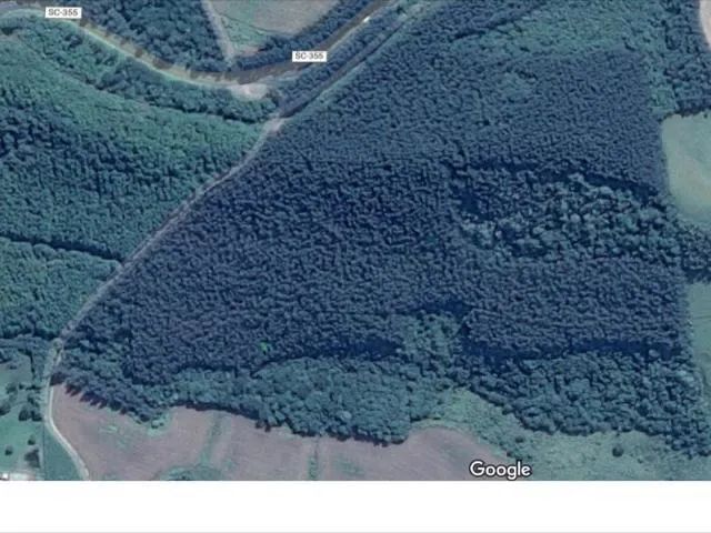 Propriedade Rural Reflorestada com Eucalípto