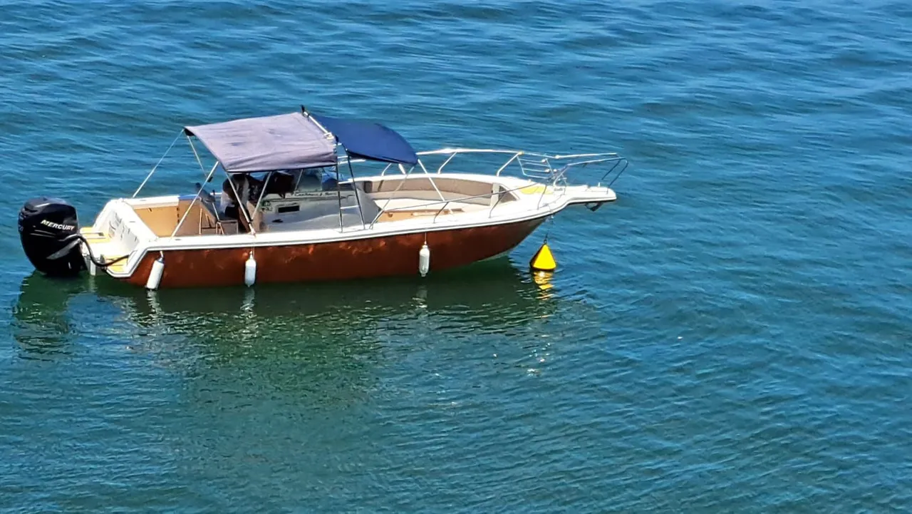 Lancha cabrasmar fishing 28 pés 