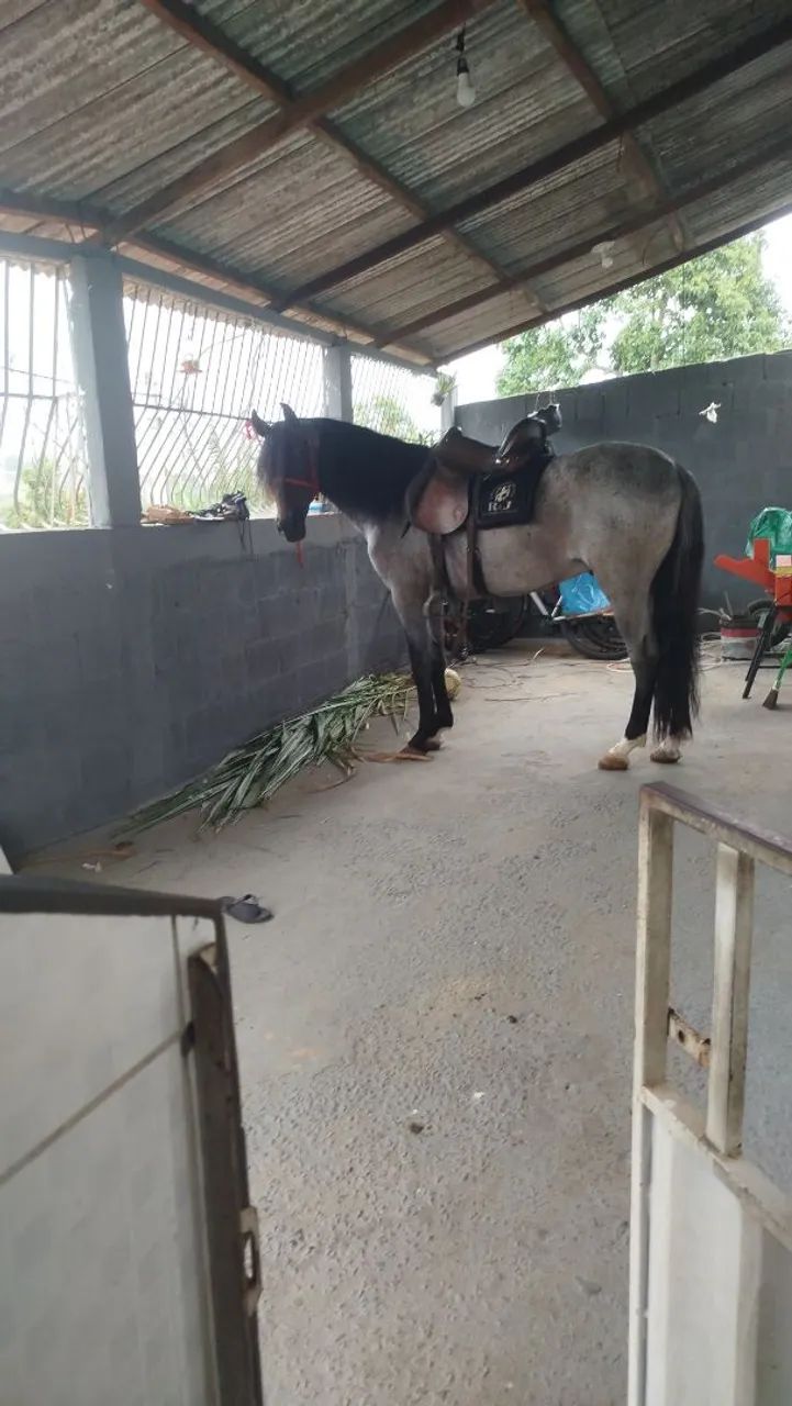 TROCO POR MOTO XRE ACIMA DE 2017 - Foto 5