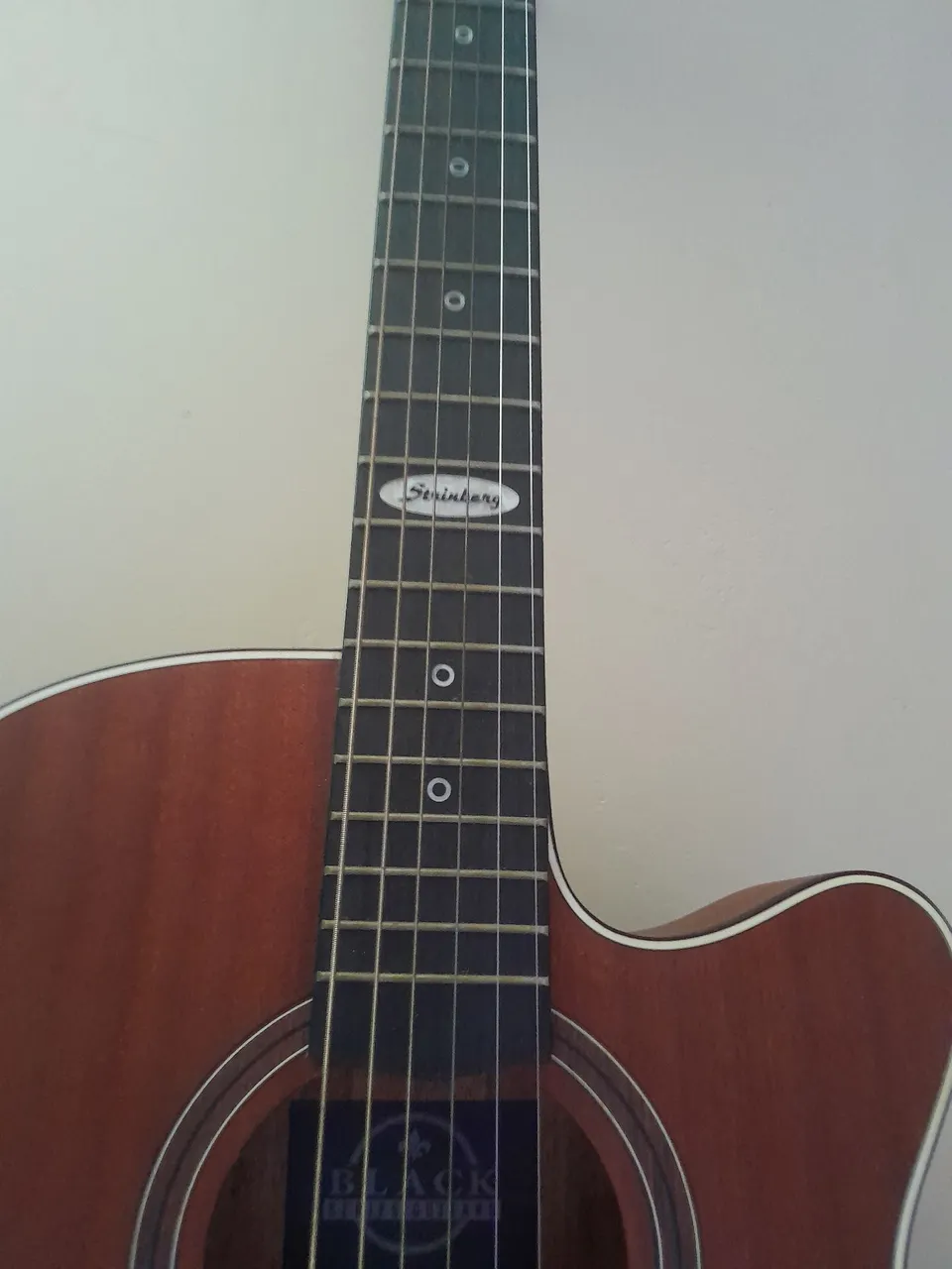 Violão Acústica Steinberg