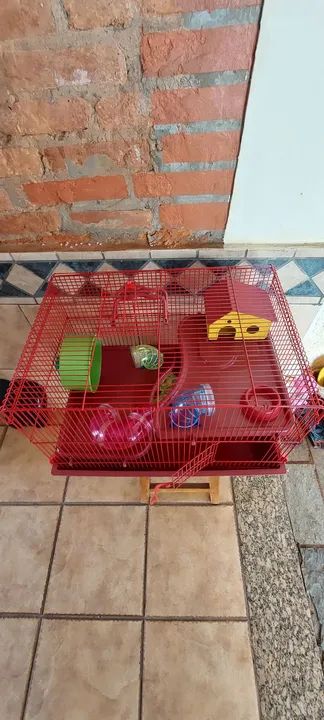 Gaiola para Roedores - 2 Andares - Foto 4