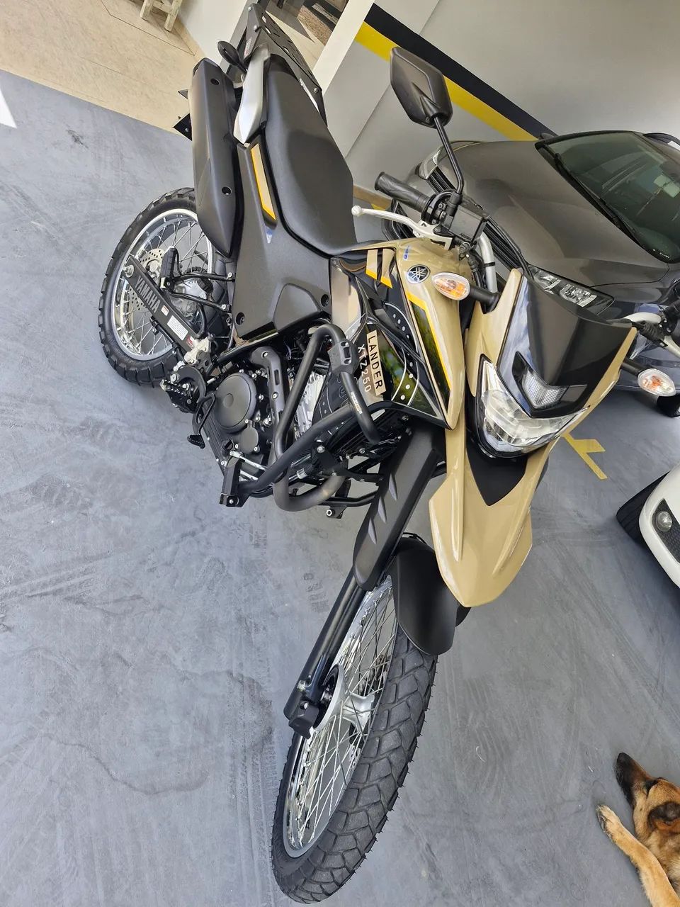 Lander 250 bege. - Foto 3