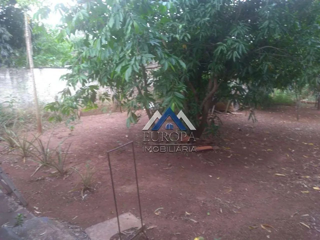 Chácara com 3 dormitórios à venda, 2100 m² por R$ 750.000,00 - Jataizinho - Jataizinho/PR - Foto 4