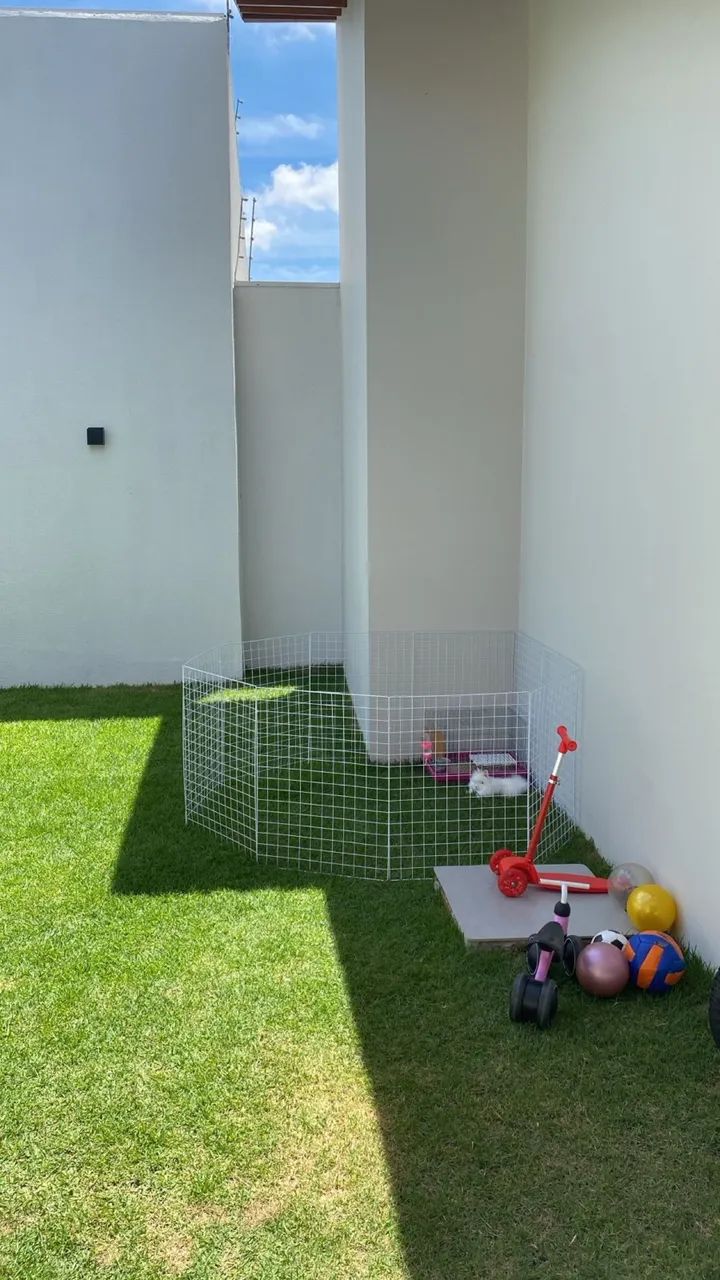 Coelha Leão  - Foto 2