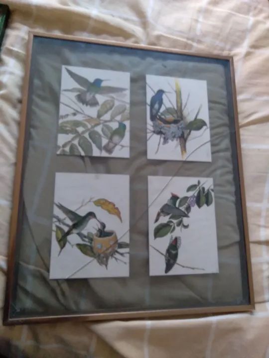 Pintura de pássaros etienne demont e postais  - Foto 2