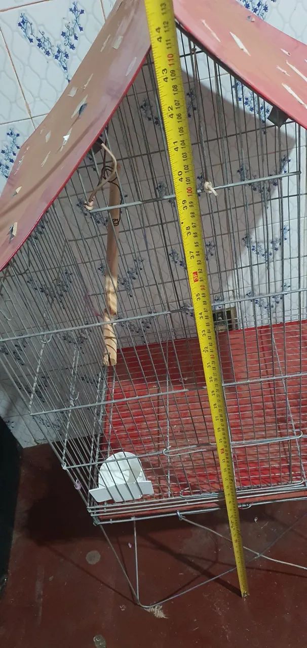 Gaiola grande  - Foto 4