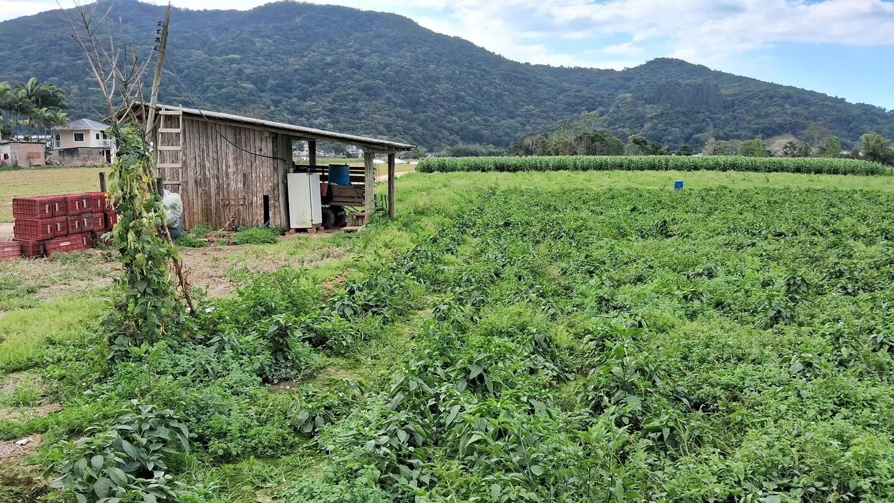 Oportunidade de terreno com 7.5 hectares em Santo Amaro da Imperatriz-SC  - Foto 11