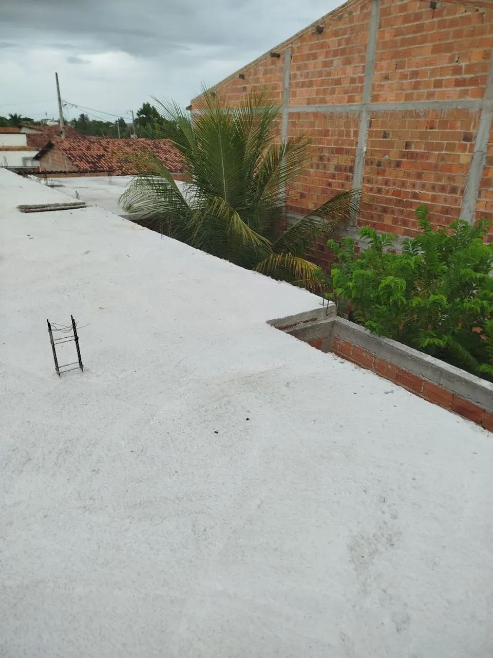 Foto - Aracaju - Aruana